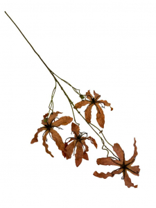 Glorioza jesienna gałązka 87 cm jasny brąz
