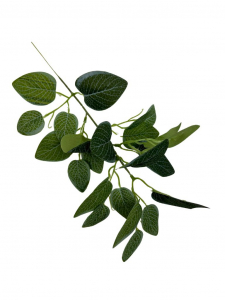 Fitonia gałązka zielona 33 cm