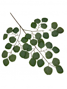 Liść eukaliptusa 60 cm zielony