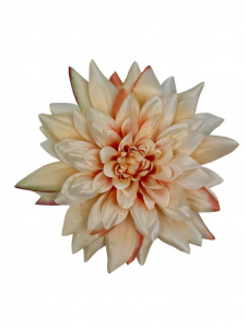 Dalia główka 28 cm kwiat XXL brzoskwiniowa