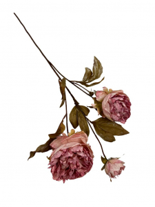Piwonia jesienna gałązka 68 cm brudny róż