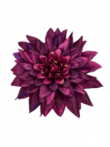 Dalia główka 28 cm kwiat XXL purpurowa
