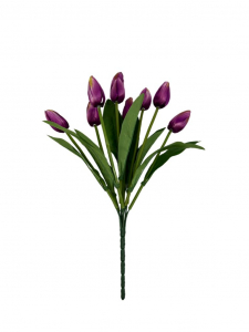 Bukiet 9 tulipanów 40 cm purpurowy