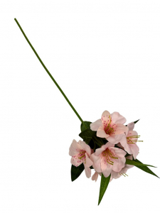 Frezja gałązka 46 cm pudrowy róż