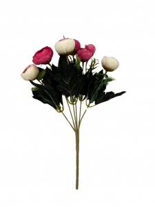 Bukiet pełników 30 cm róż krem
