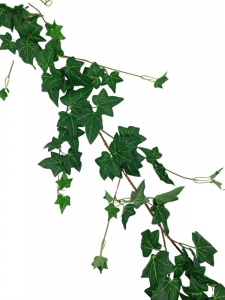 Bluszcz hedera girlanda 180 cm zielony