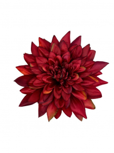 Dalia główka 28 cm kwiat XXL czerwona