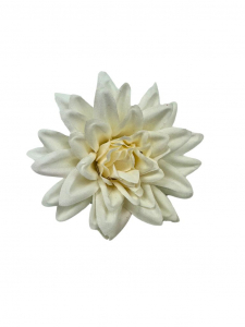 Dalia główka 8 cm kremowa