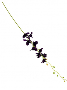 Storczyk tajlandzki 70 cm ciemny fiolet