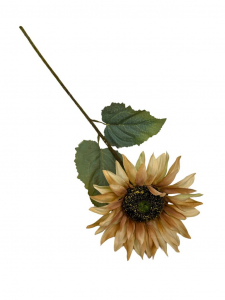 Słonecznik gałązka 65 cm jasny brąz