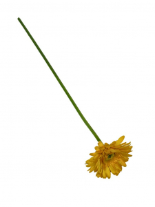 Gerbera gałązka 49 cm żółta