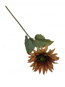 Słonecznik gałązka 65 cm brązowy