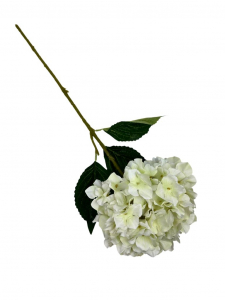 Hortensja gałązka 60 cm biało zielona