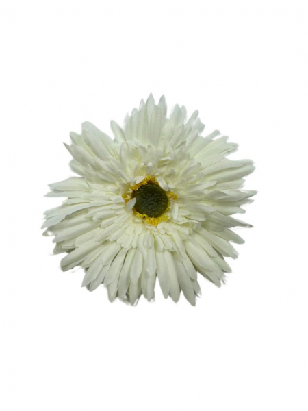 Aster główka 11 cm biały