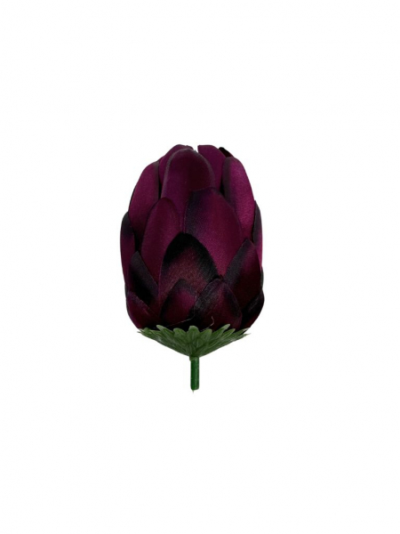 Protea główka wysokość 10 cm purpurowa