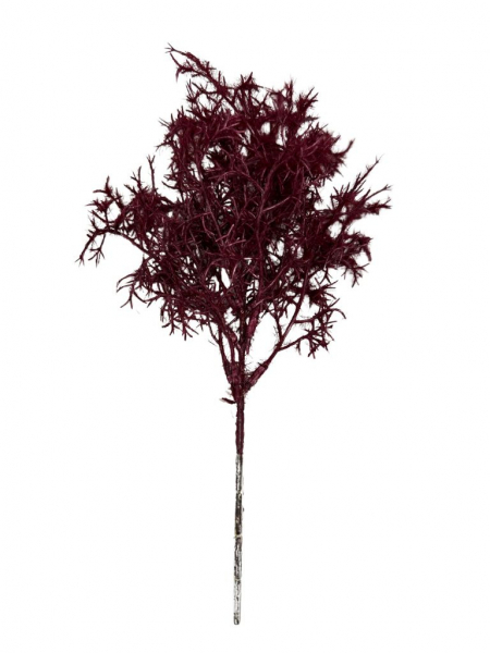 Trawa suszona gałązka 28 cm bordo