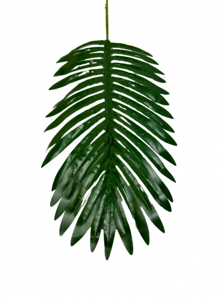 Liść palmy 60 cm zielony