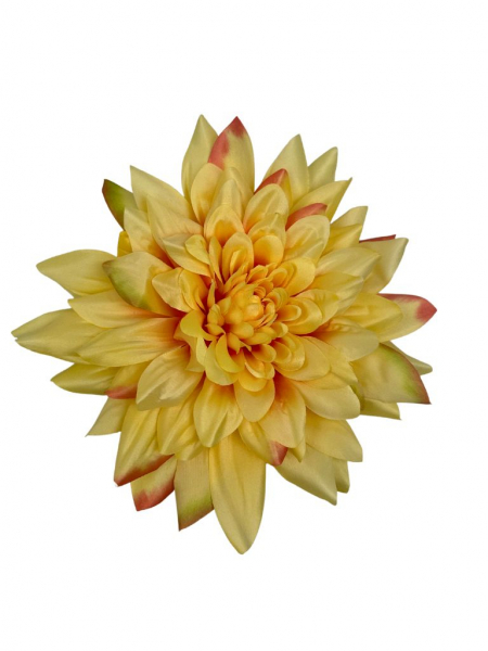 Dalia główka 28 cm kwiat XXL żółta