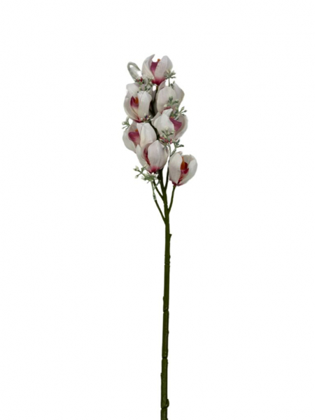 Orchidea gałązka 78 cm biała z różem