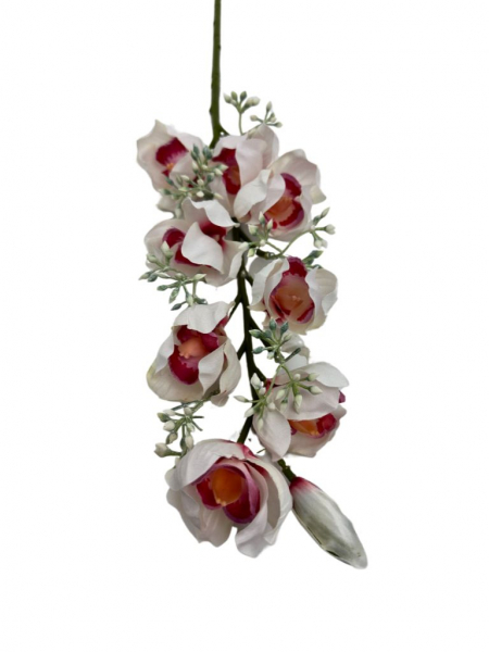 Orchidea gałązka 78 cm biała z różem