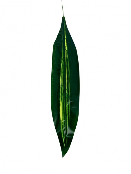 Dracena liść nabłyszczany 63 cm zielony