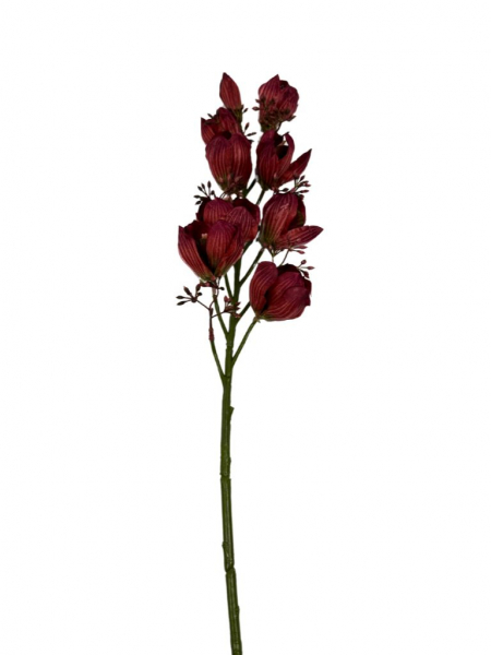 Orchidea gałązka 78 cm bordo