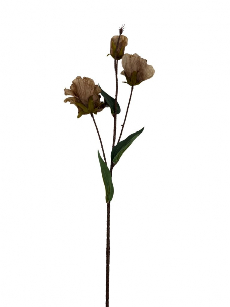 Eustoma gałązka 82 cm brąz