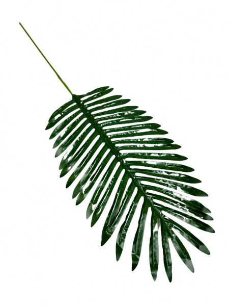 Liść palmy DUŻY 75 cm zielony
