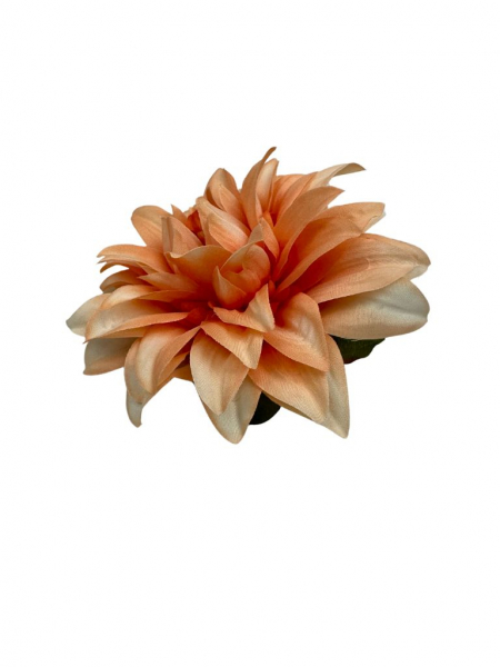 Dalia główka 14 cm brzoskwiniowa