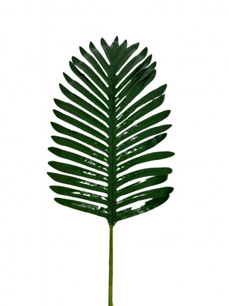 Liść palmy 60 cm zielony