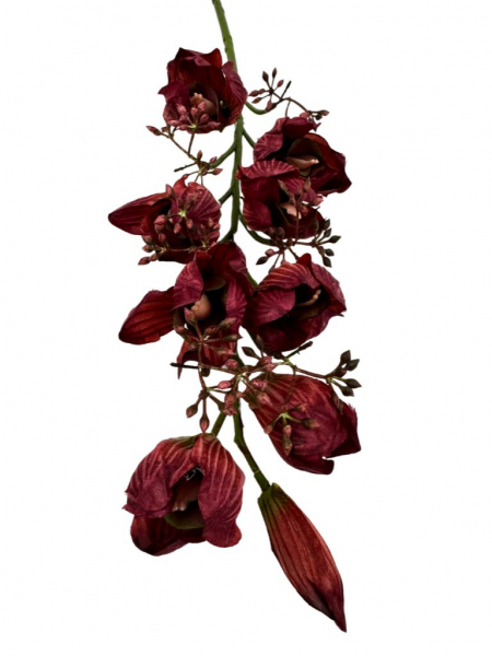 Orchidea gałązka 78 cm bordo