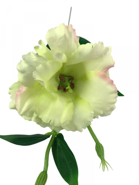 Eustoma gałązka 48 cm jasno różowy jasno zielony
