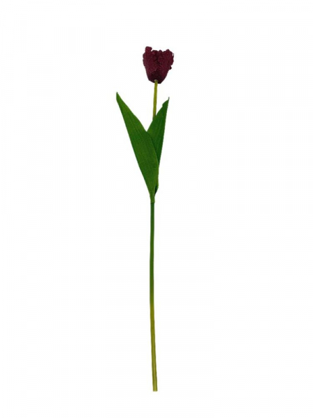 Tulipan gałązka 54 cm burgundowy