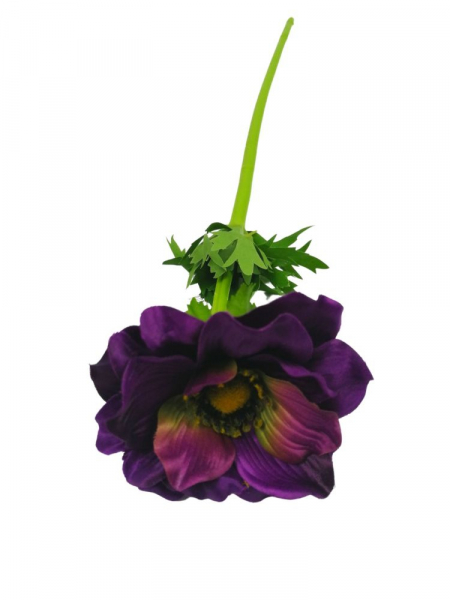 Anemon gałązka 55 cm fioletowo-purpurowy