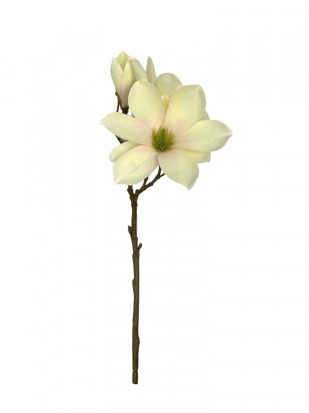 Magnolia gałązka 40 cm waniliowa