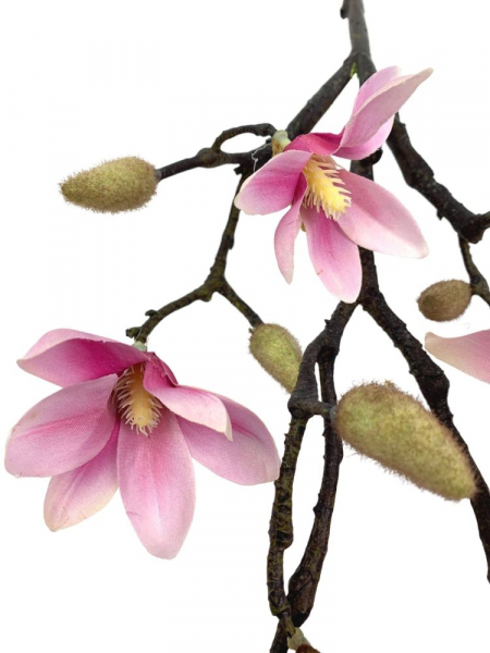 Magnolia gałązka 55 cm rożowa