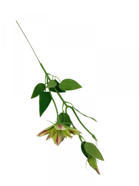 Klematis gałązka 48 cm zielony z akcentami różu