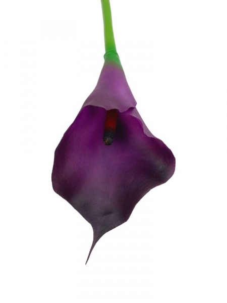 Kalia kwiat pojedynczy 67 cm fioletowa